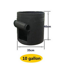 將圖片載入圖庫檢視器 Plant Grow Bags Greenhouse Vegetable Growing Bags (35*40cm)