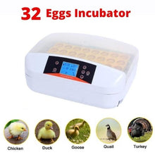 將圖片載入圖庫檢視器 32 Eggs Autoturn Egg Incubator Hatcher