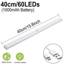 Load image into Gallery viewer, 40cm Motion Sensor Night Lamp Wardrobe Closet Lights