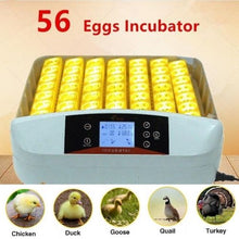 Load image into Gallery viewer, 56 Eggs Autoturn Egg Incubator Hatcher