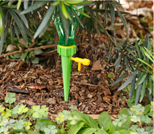 將圖片載入圖庫檢視器 6PCS Self Watering Funnel Automatic Drip Irrigation