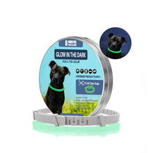 Load image into Gallery viewer, Dog Cat Flea Collar Flea Treatment Dog CatCollar  62cm