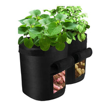 將圖片載入圖庫檢視器 Plant Grow Bags Greenhouse Vegetable Growing Bags (30*35cm)