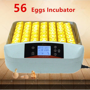 56 Eggs Automatic Egg Incubator