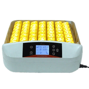 56 Eggs Automatic Egg Incubator