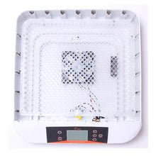 將圖片載入圖庫檢視器 56 Eggs Automatic Egg Incubator
