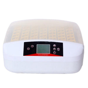 56 Eggs Automatic Egg Incubator