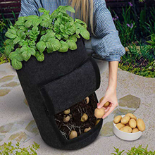 Load image into Gallery viewer, Plant Grow Bags Greenhouse Vegetable Growing Bags (30*35cm)
