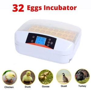 32 Eggs Autoturn Egg Incubator Hatcher