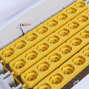 32 Eggs Autoturn Egg Incubator Hatcher