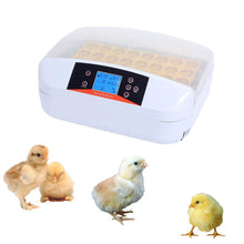 將圖片載入圖庫檢視器 32 Eggs Autoturn Egg Incubator Hatcher
